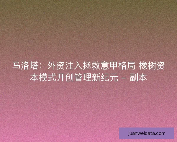 马洛塔：外资注入拯救意甲格局 橡树资本模式开创管理新纪元 - 副本