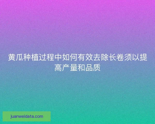 黄瓜种植过程中如何有效去除长卷须以提高产量和品质